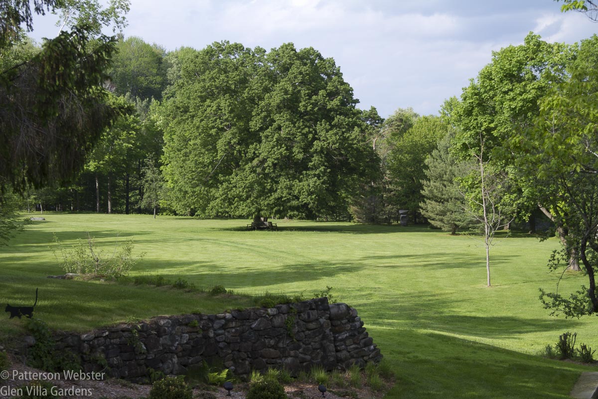 This was the view from the house out onto the big lawn in May 2015. The path in the grass was the result of heavy equipment crossing the lawn earlier in the spring.