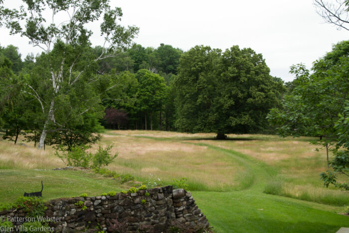 The section of green grass is the path we are mowing. The section of green grass is the path we are mowing.