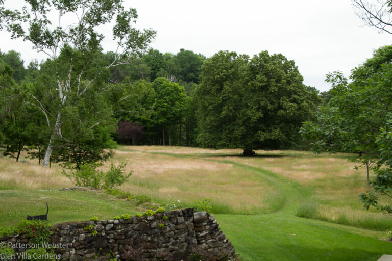 The section of green grass is the path we are mowing.