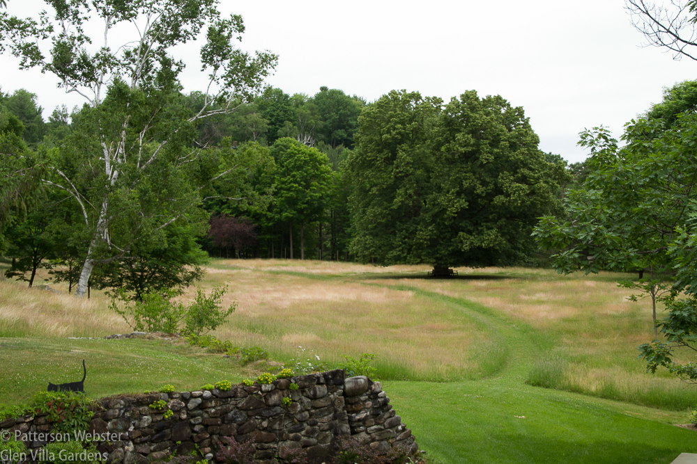 The section of green grass is the path we are mowing.
