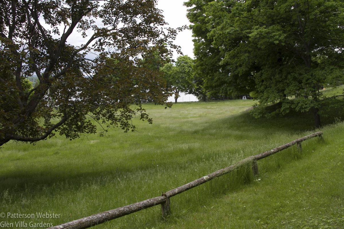 The sculpture in the distance is in the same place, as are the railings on the drive. The trees have grown -- but not as much as the grass.