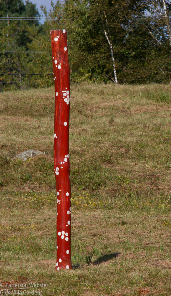 The post is painted with the smallpox bacillus, the disease bought to North American by the European settlers.