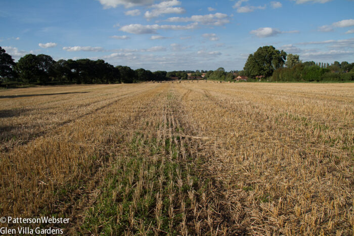 Thankfully the hayfield had been cut, allowing us to cross the field without damaging the crop.