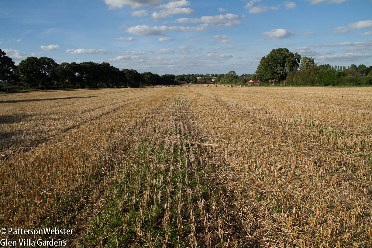 Thankfully the hayfield had been cut, allowing us to cross the field without damaging the crop.