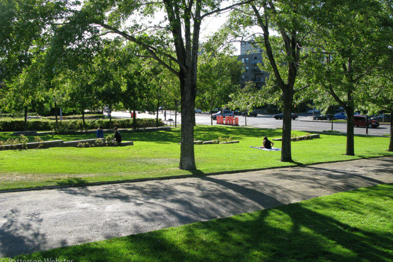 A grassy meadow abuts a busy Montreal street. A grassy meadow abuts a busy Montreal street.