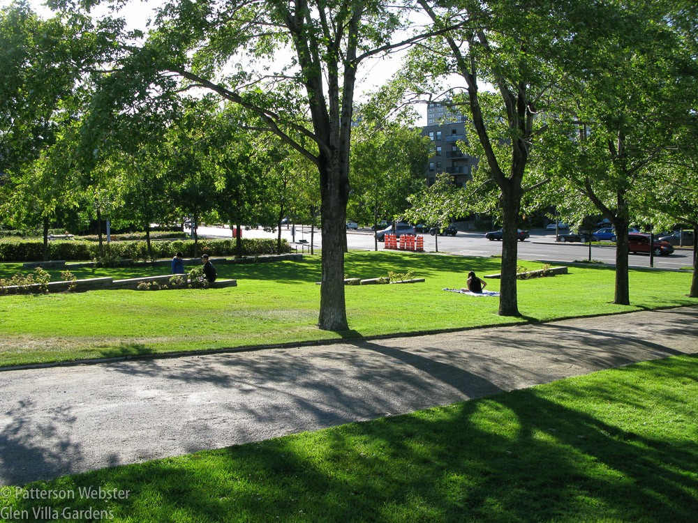 A grassy meadow abuts a busy Montreal street.