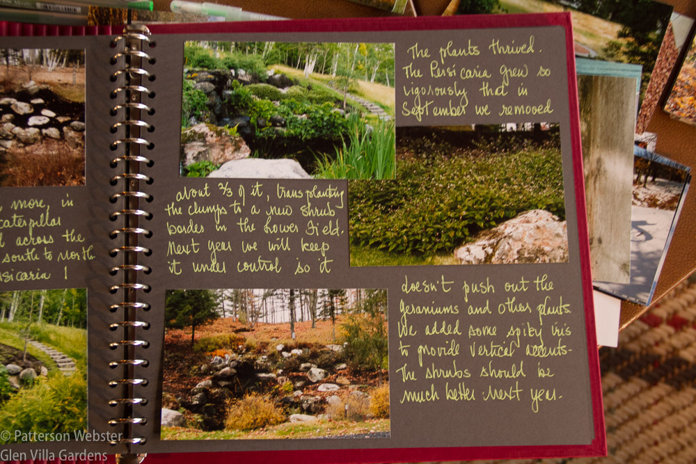This page records what happened this year with the plantings at The Cascade.
