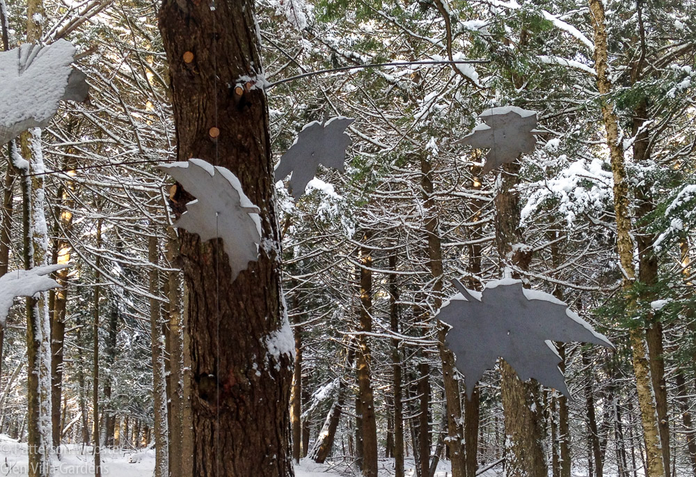The tin maple leaves hung in November 2016 are now coated with snow, making the scene even more evocative. 