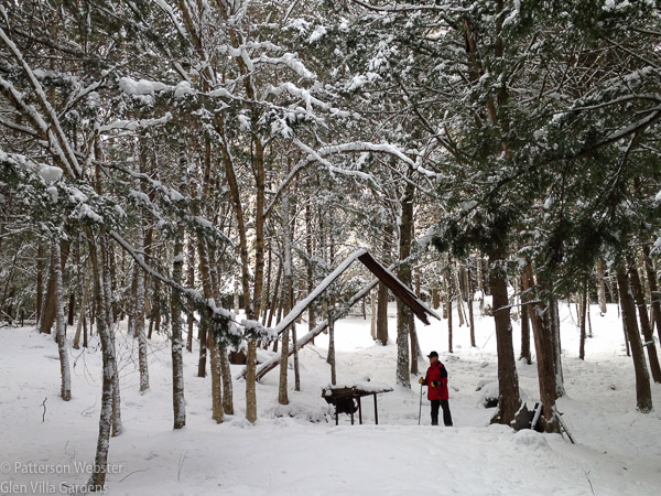 On a snowy day in January, my husband and i snowshoed past Orin's Sugarbush. It is magical spot in winter, with tin maple leaves tinkling in the wind.
