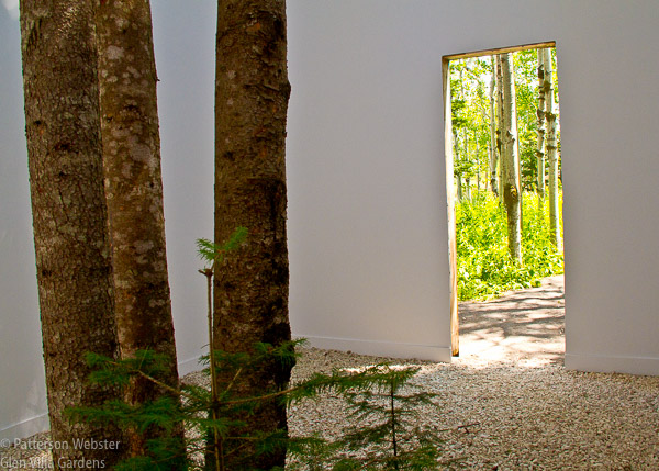 This view of Courtesy of Nature shows the doorway to the gallery-like box tht encloses a section of the existing forest. 