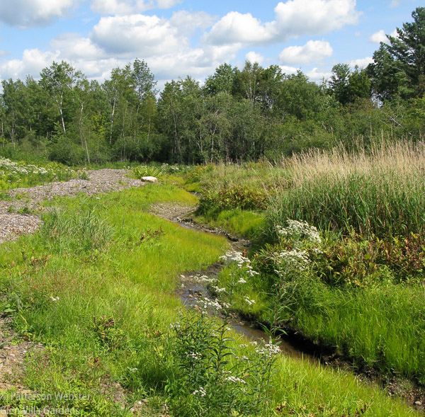 You can see a bit of the trail on the left side of this photo, taken in 2009. We cleared brush from this area last fall. Some of the wildflowers have disappeared but the site still feels the same. Is this an example of unity persisting despite change? 