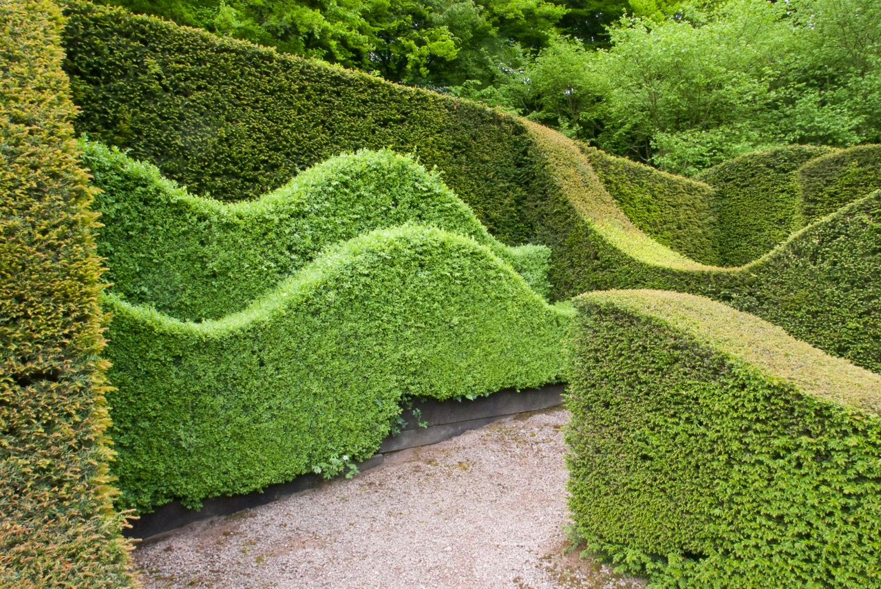 The curving waves appear again on a side hedge. 