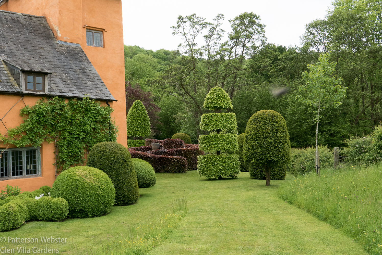 Topiary at Allt-y-bela was stunning.