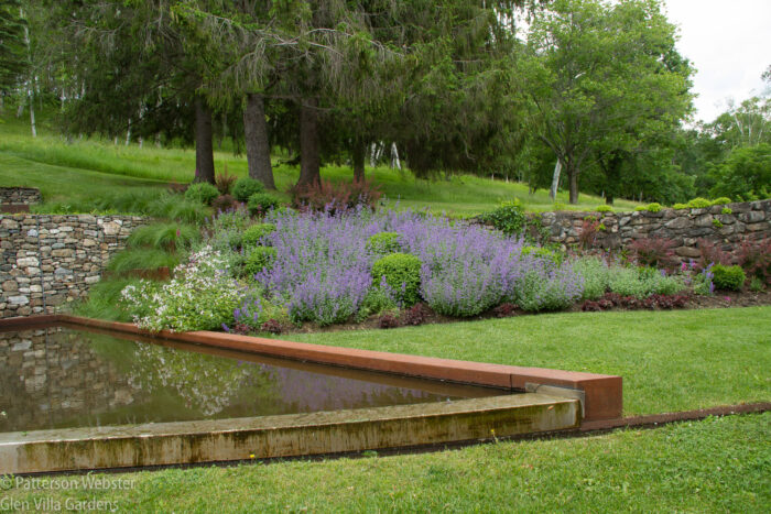I want to add a tall spiky plant that pops up through the Nepeta at occasional spots and tones in with the barberry and rusty steel. I I want to add a tall spiky plant that pops up through the Nepeta at occasional spots and tones in with the barberry and rusty steel. I