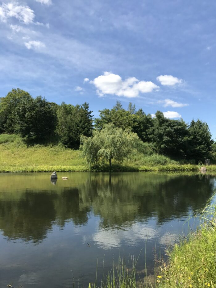 The Skating Pond as photographed by one of the wonderful volunteers.