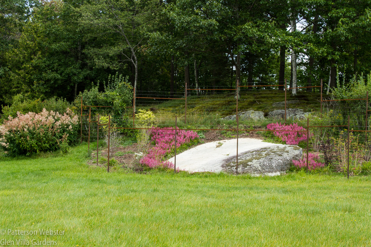 Why a two-toned rock? The white section was buried until last September when we planted this border. 