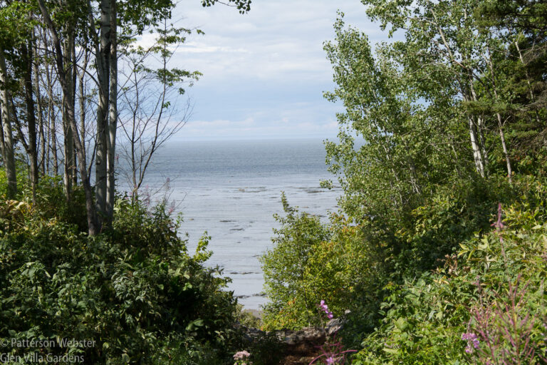 The festival installations are adjacent to the St. Lawrence River.
