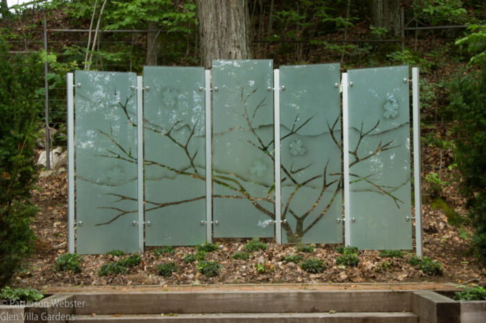 The spreading tree suggests Virginia and a mother The spreading tree suggests Virginia and a mother
