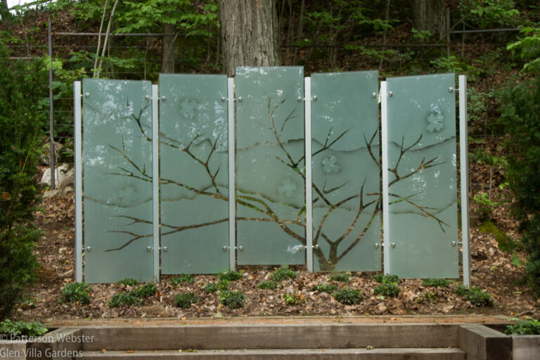 The spreading tree suggests Virginia and a mother