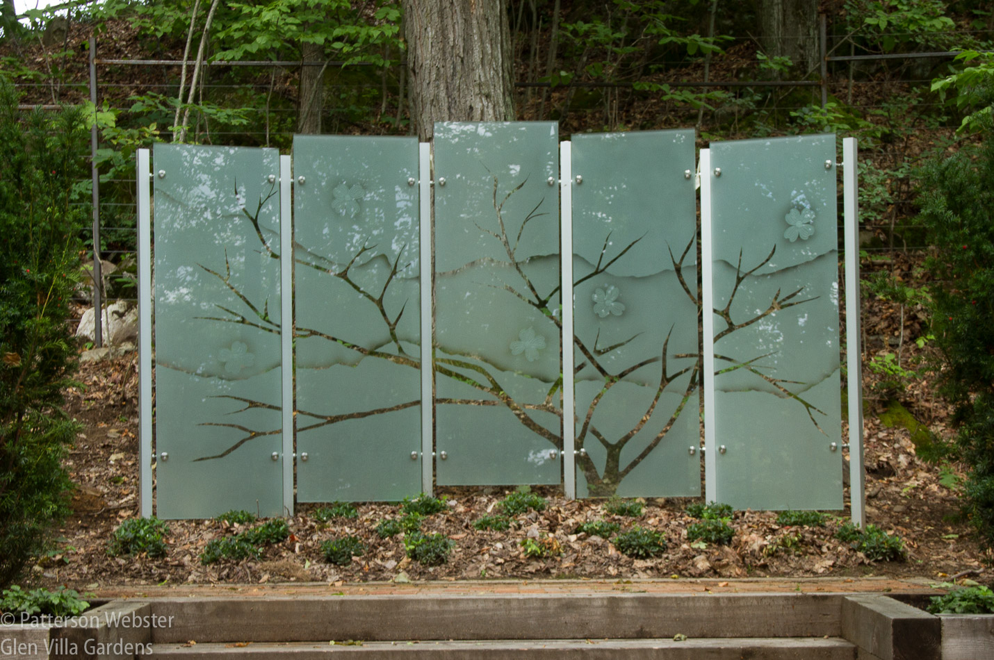 The spreading tree suggests Virginia and a mother