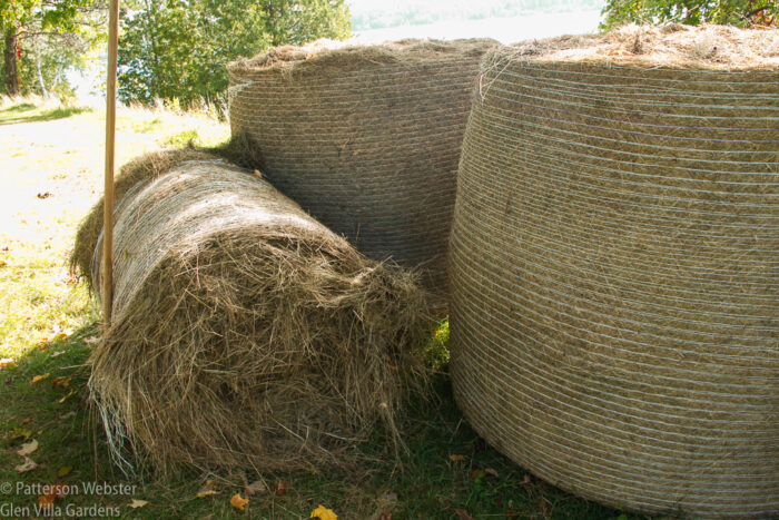 Bales come in different sizes. These are 4.5 ft across.
