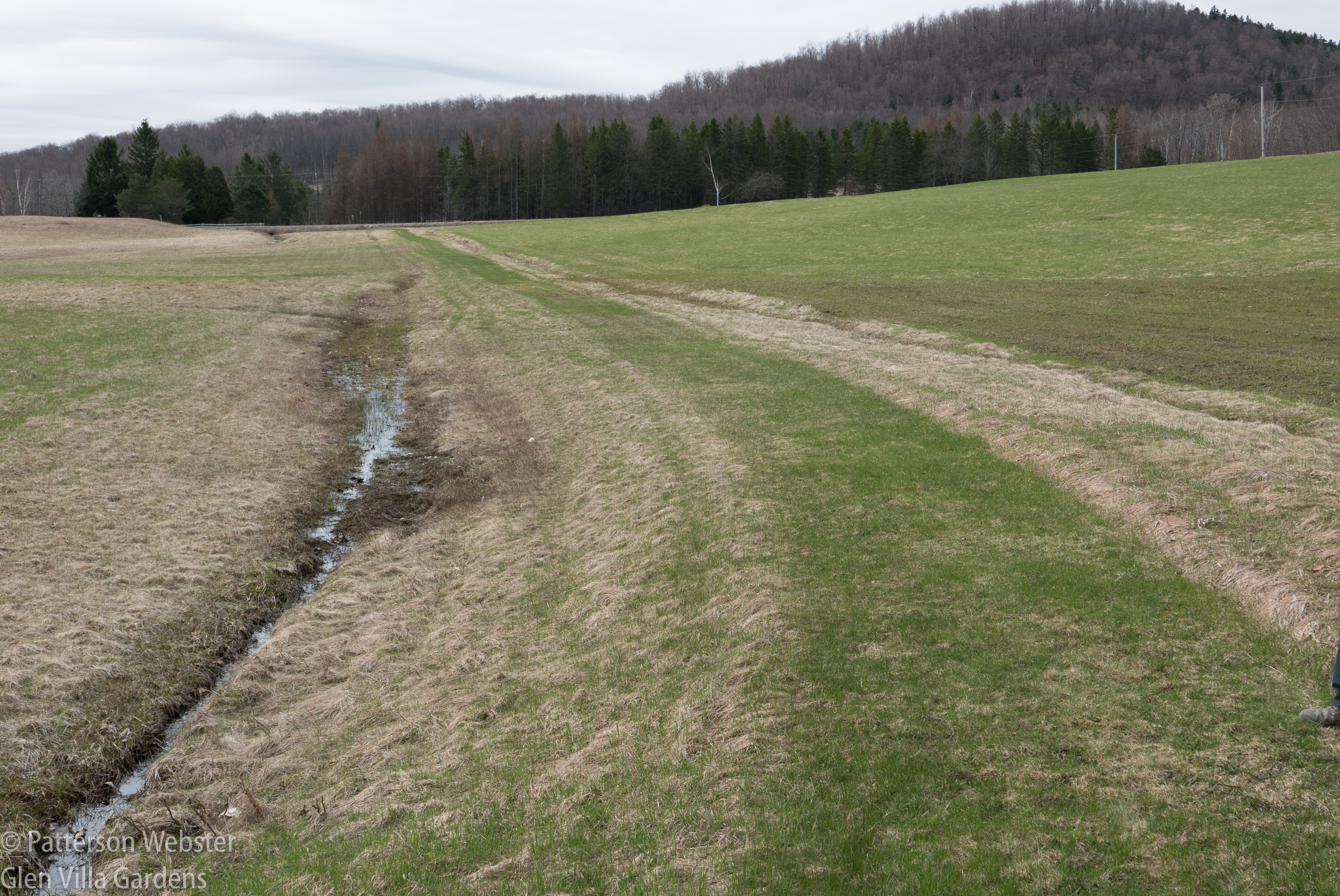 This path was a convenient short cut across a flat farm field.
