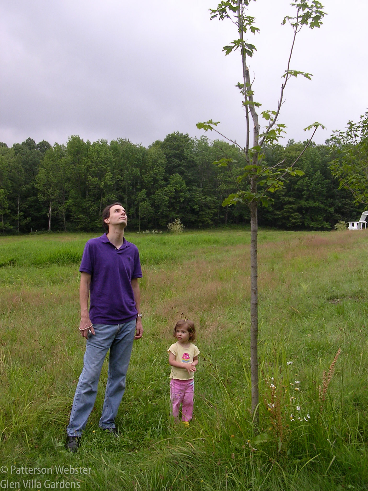 One grandchild stands next to her tree along with her father.