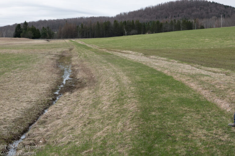 This path was a convenient short cut across a flat farm field.