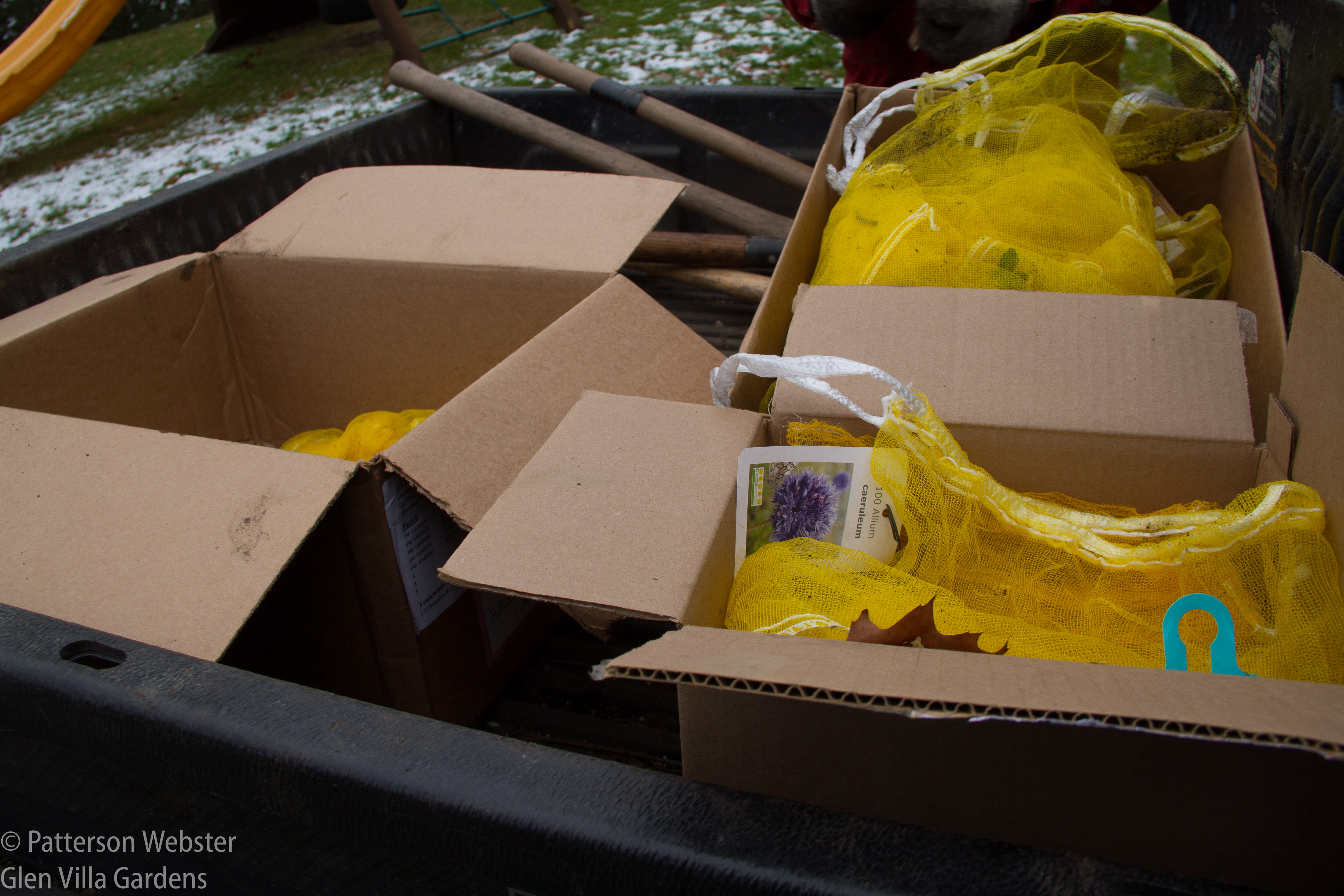 Empty boxes and bags are proof that all the bulbs are now in the ground.