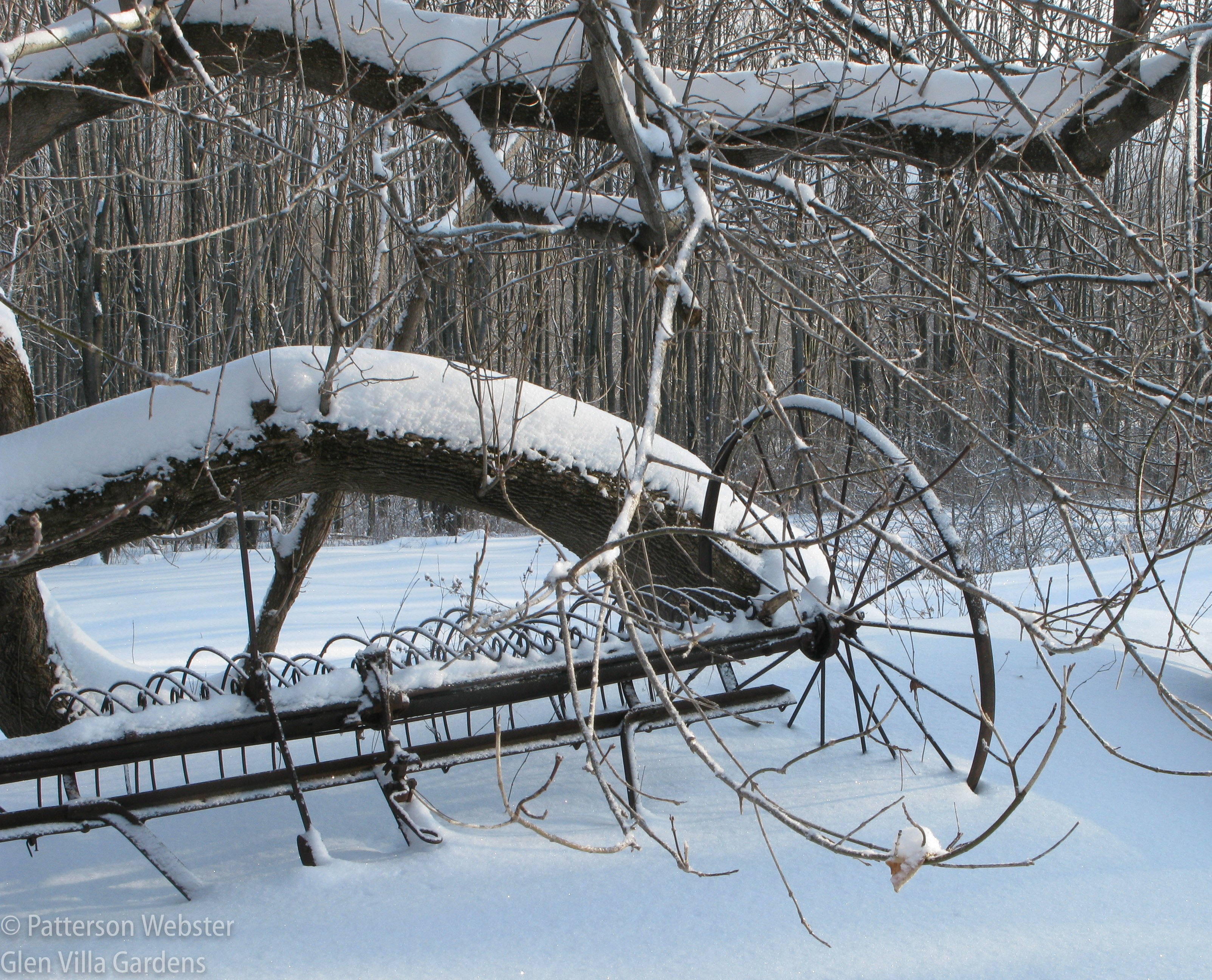 Old farm equipment acquires allure in the snow.