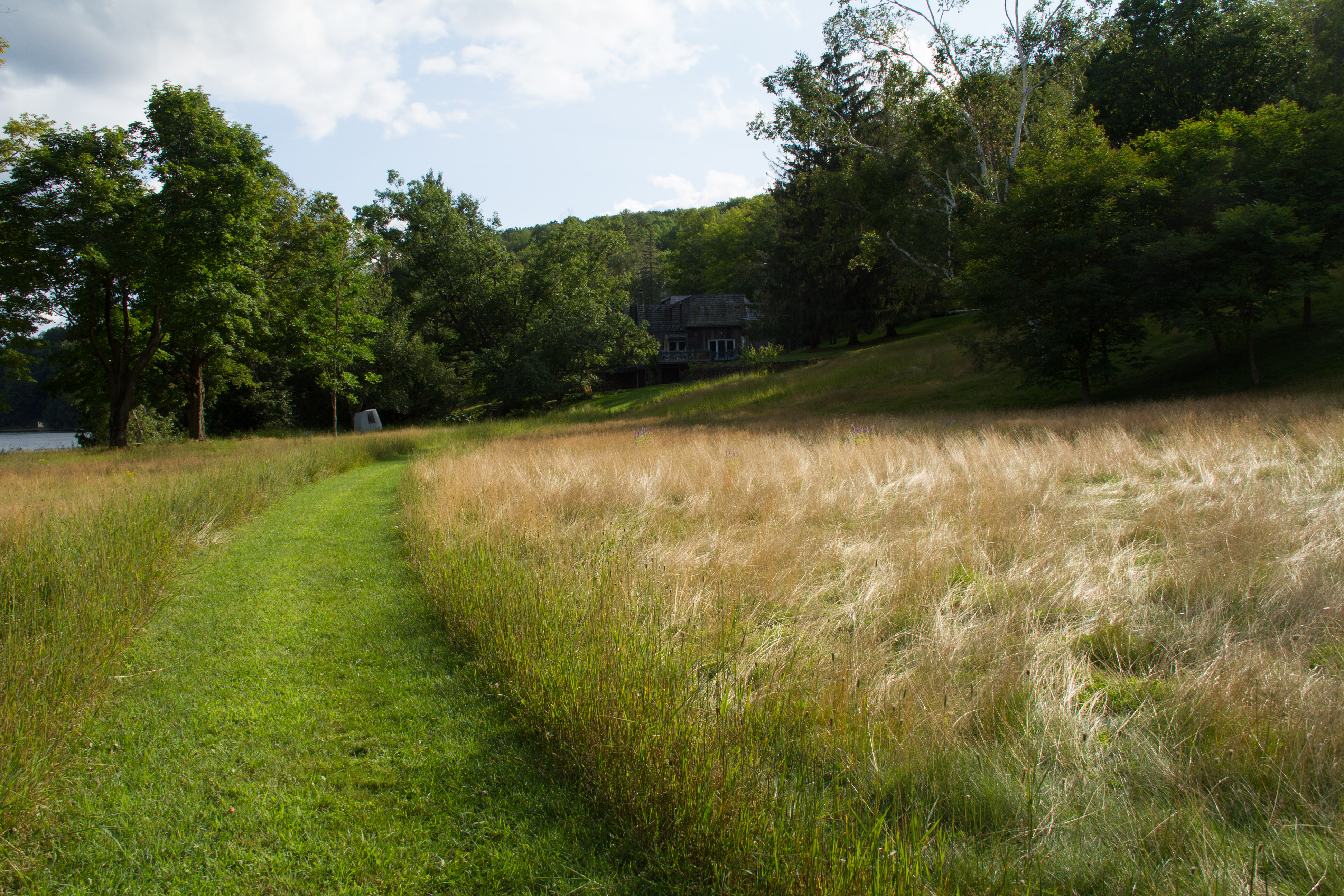 This path leads through the Big Meadow beside the house.