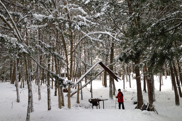 On a snowy day in January, my husband and i snowshoed past Orin