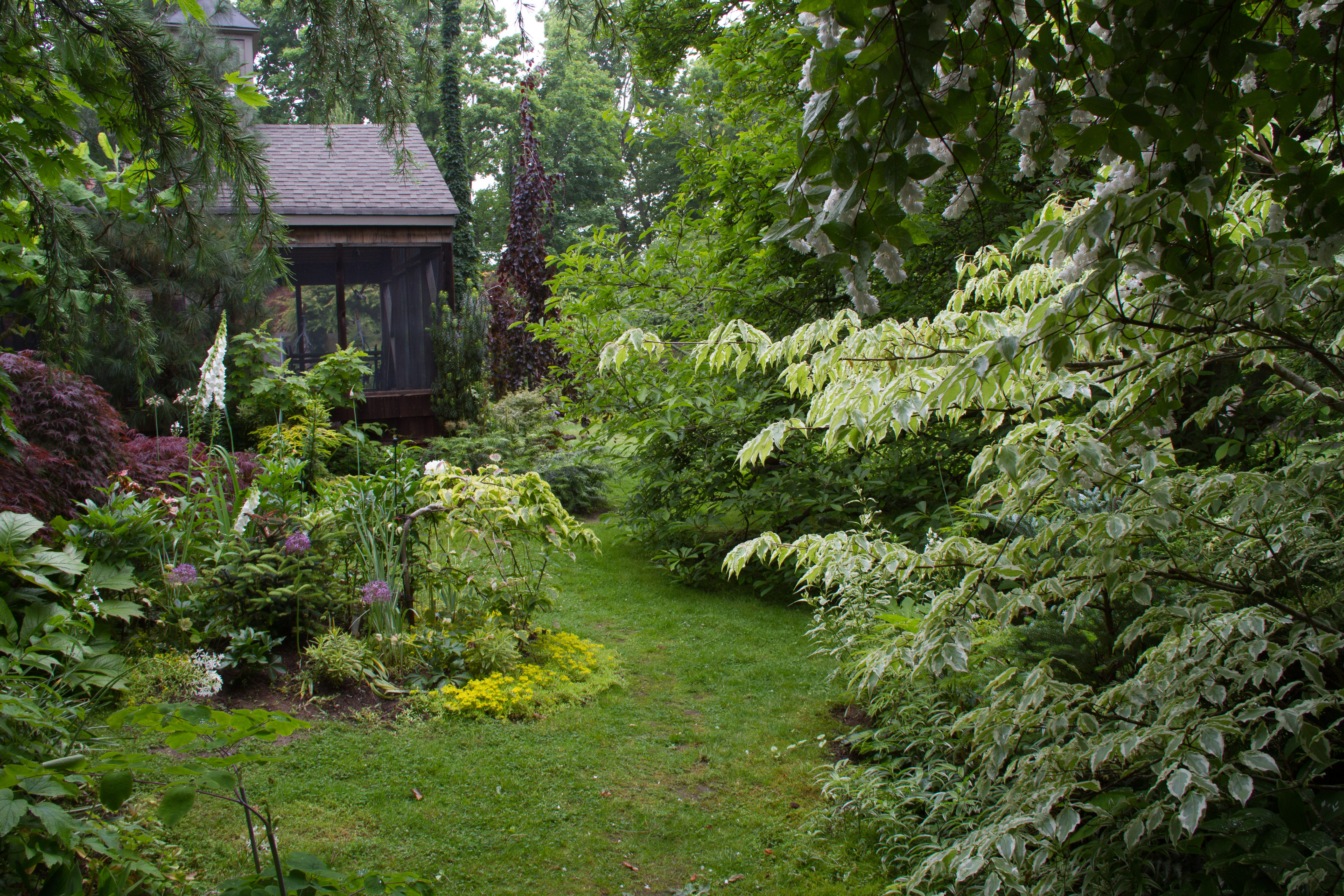 Other houses surround this densely planted Long Island garden. 