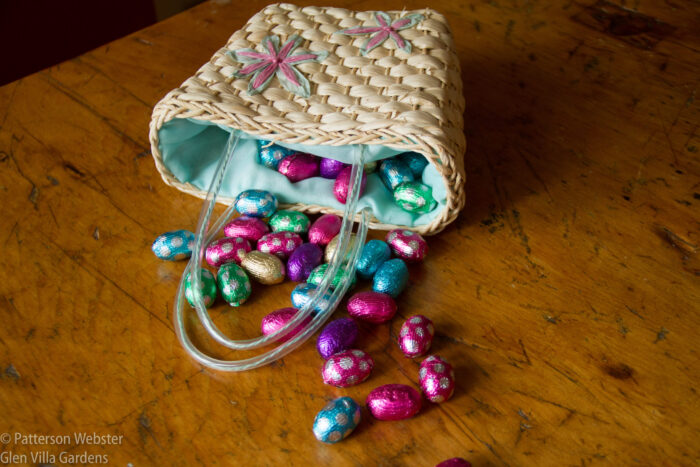 eggs (1 of 1)