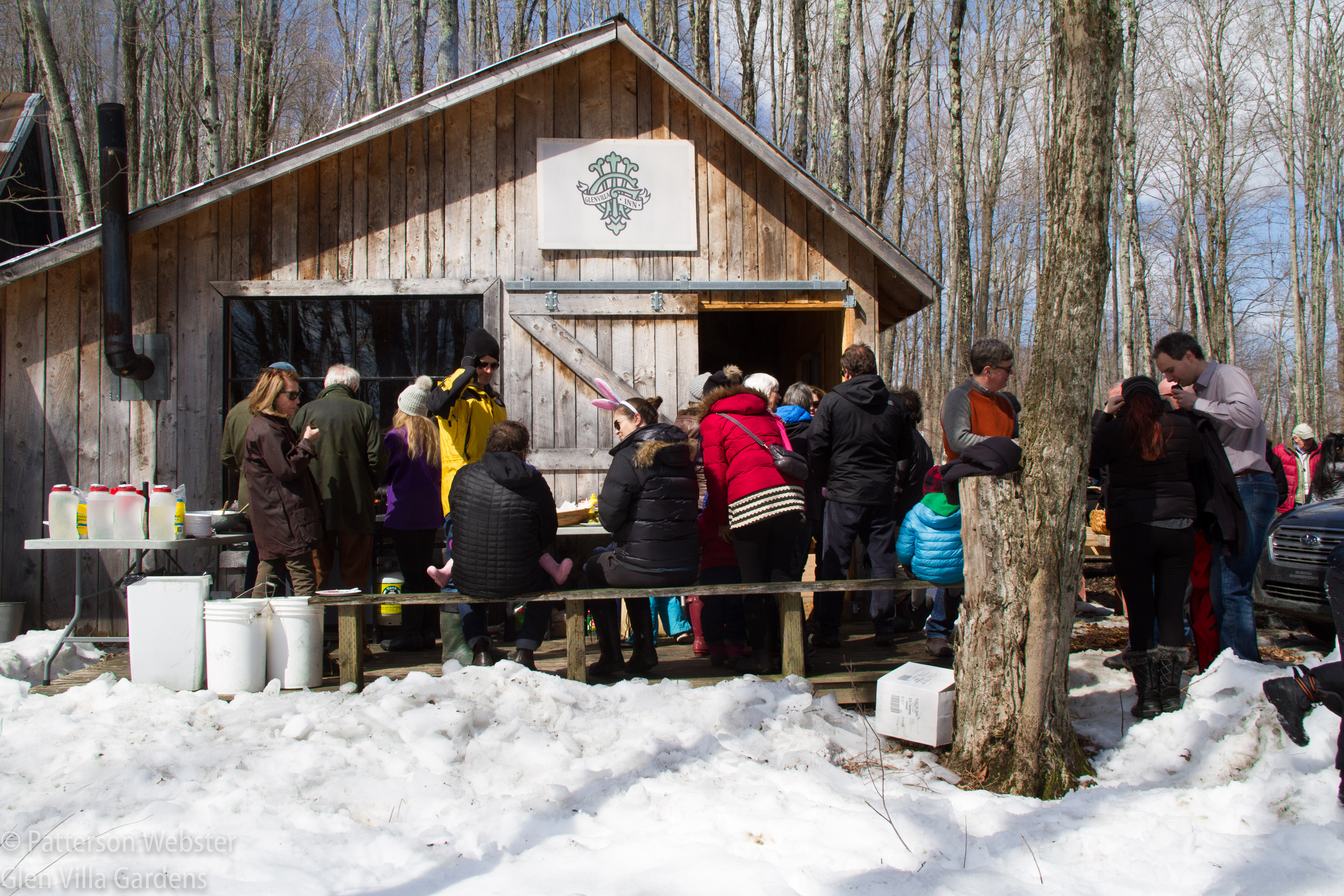 About 60 people gathered outside our sugar camp on a beautiful day. 