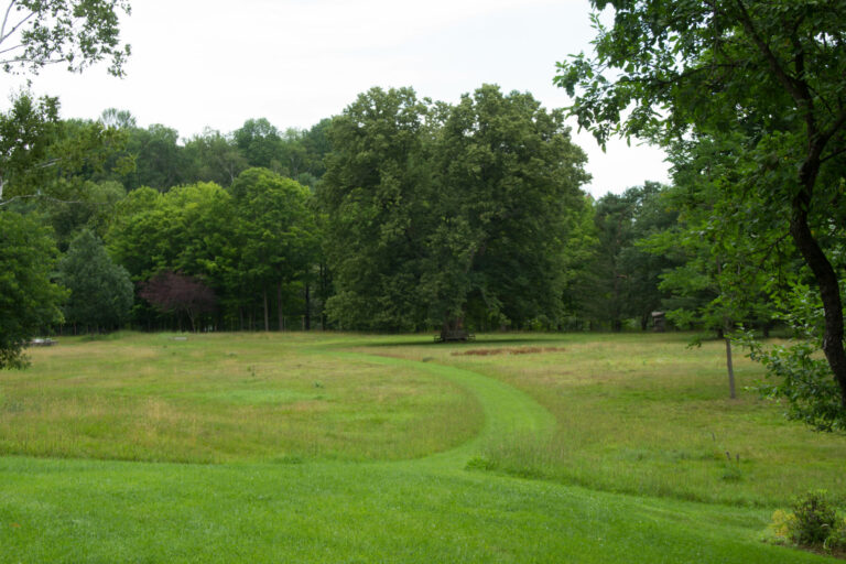 The Big Meadow