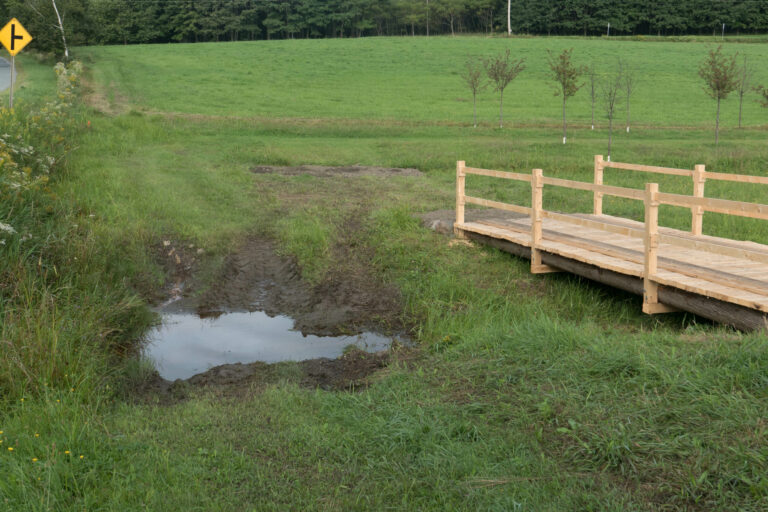 This ditch is always wet. We