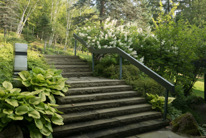 The hydrangea by the front steps always blooms well. The hydrangea by the front steps always blooms well.