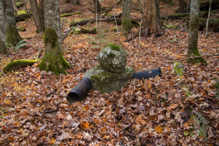 stonehead (1 of 1)