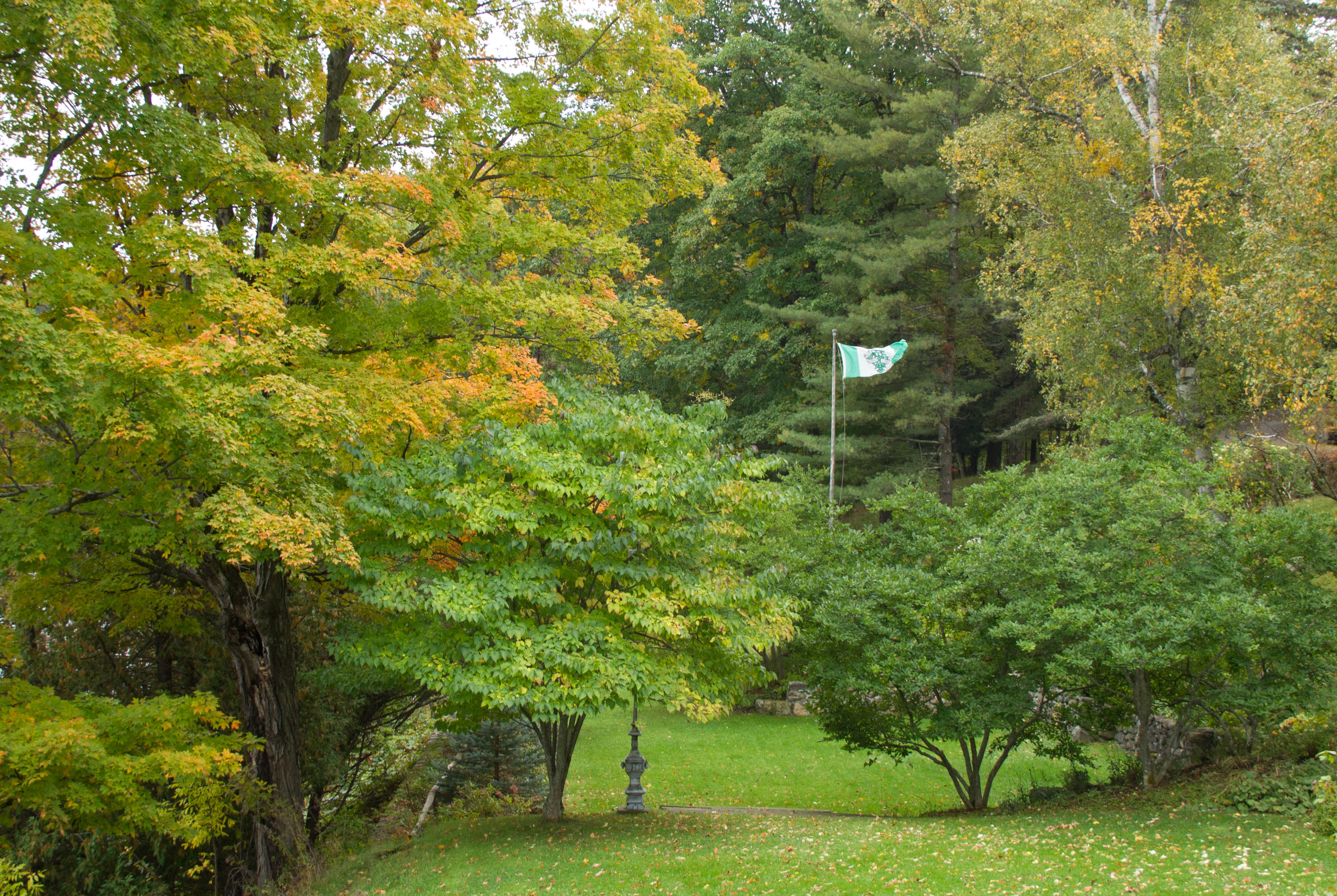 A few weeks ago, the trees had only begun to change colour. The Glen Villa flag flies proudly above the Lower Garden.