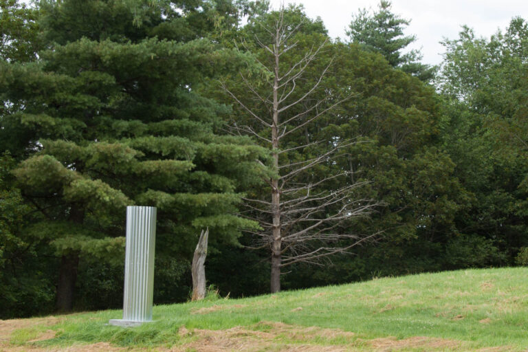The dead pine and the tree stump were part of the inspiration for this section. The dead pine and the tree stump were part of the inspiration for this section.