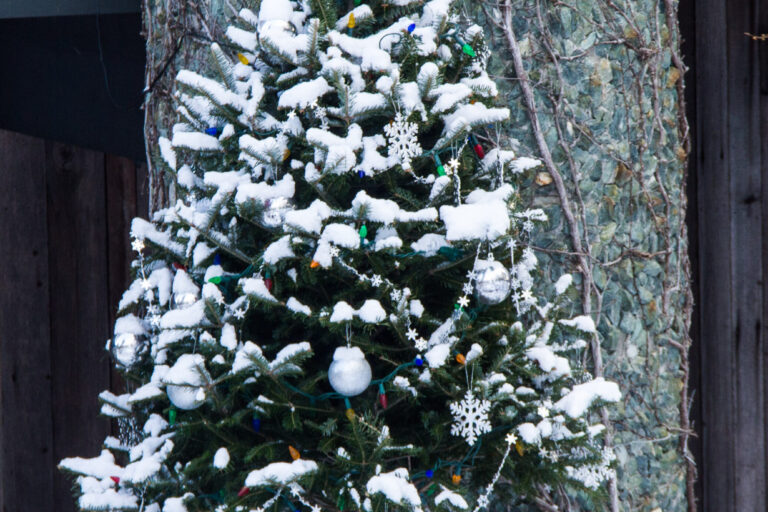 This little spruce tree is attached to the chimney stack. Some years I put up this tree, other years a wreath. The tree takes less work. This little spruce tree is attached to the chimney stack. Some years I put up this tree, other years a wreath. The tree takes less work.