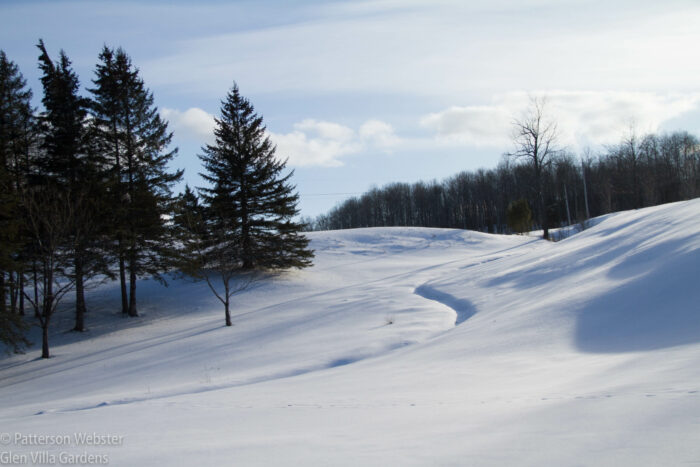 A stream coming down the hill marks an S-curve at the entry to Glen Villa. A stream coming down the hill marks an S-curve at the entry to Glen Villa.