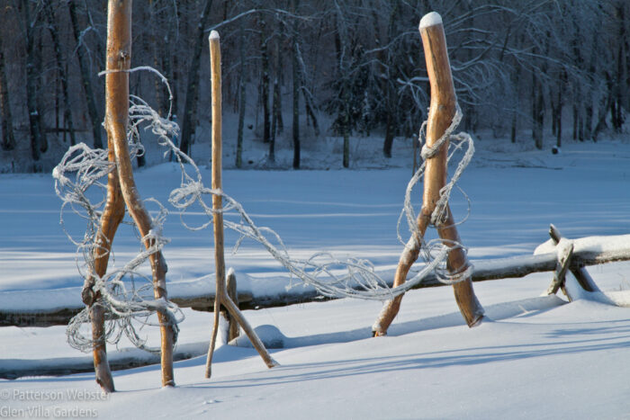 The Abenaki were the original inhabitants of the Eastern Townships of Quebec. This part of my installation, Abenaki Walking, shows the period after the arrival of Europeans, when barbed wire impeded the movement of Abenaki across the land.