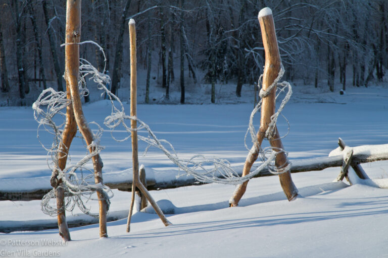The Abenaki were the original inhabitants of the Eastern Townships of Quebec. This part of my installation, Abenaki Walking, shows the period after the arrival of Europeans, when barbed wire impeded the movement of Abenaki across the land.