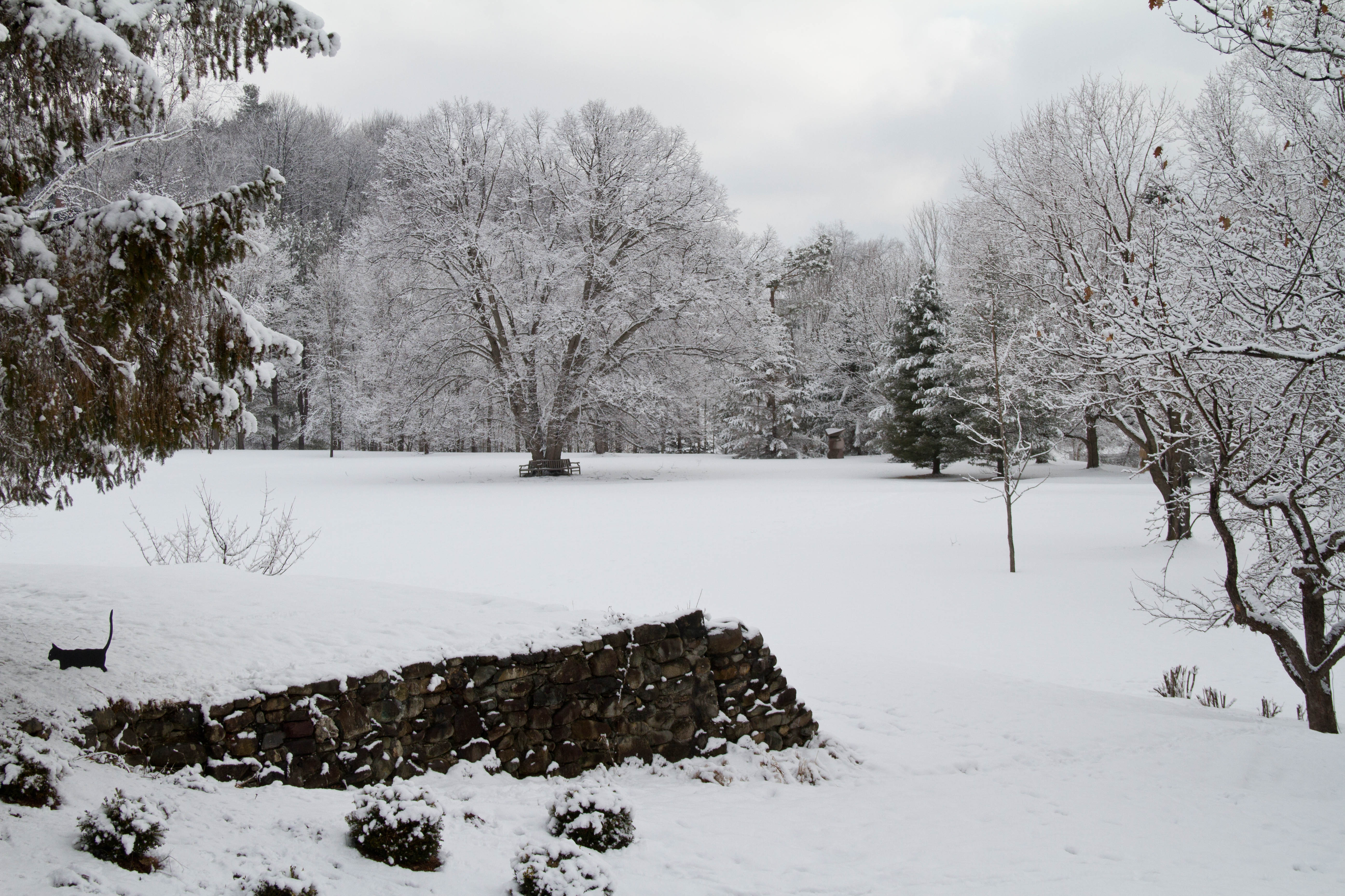 This photo from April 7 2013 shows a very wintery garden.