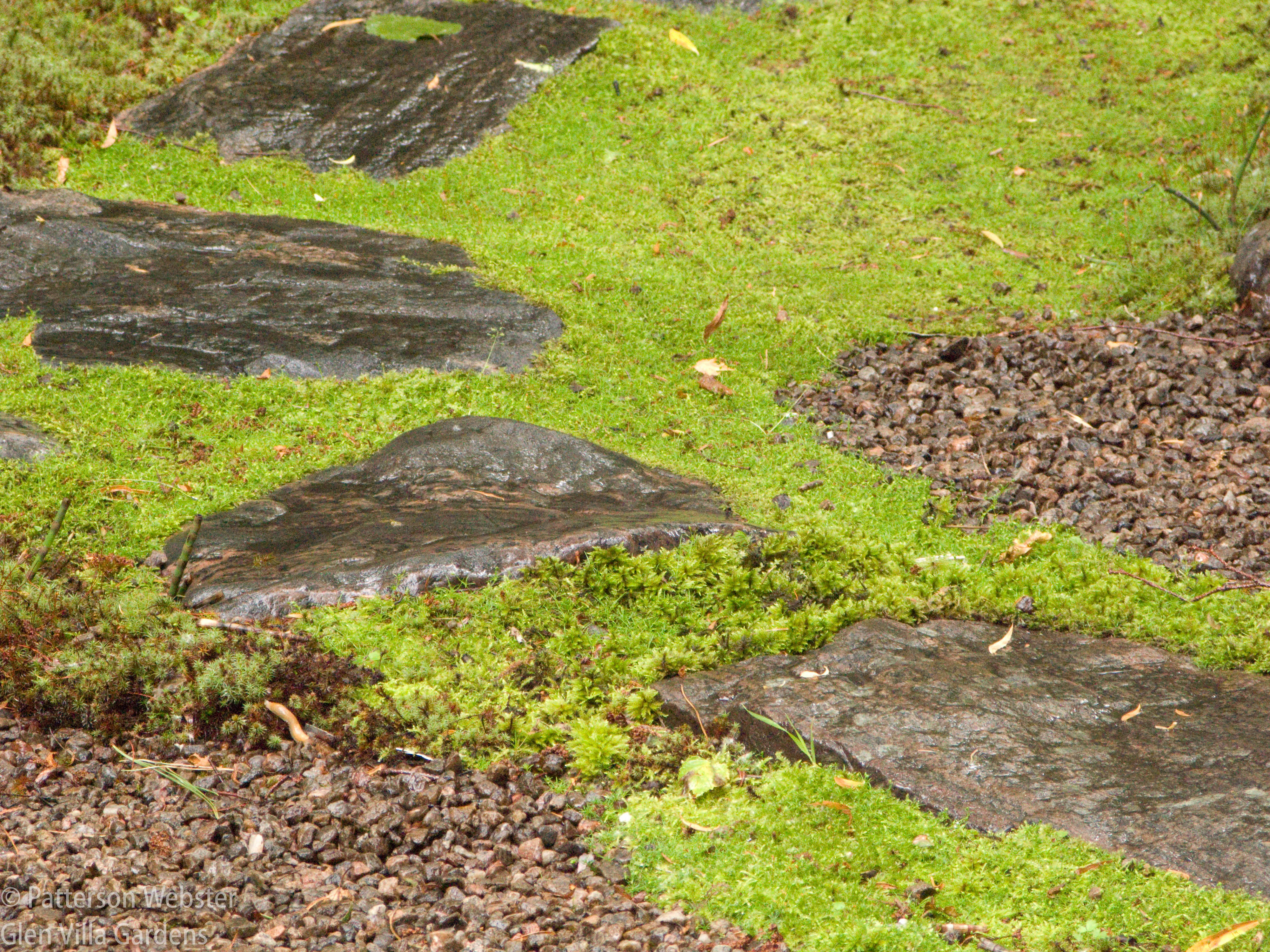 Stones in the Japanese garden at Les Quatre Vents