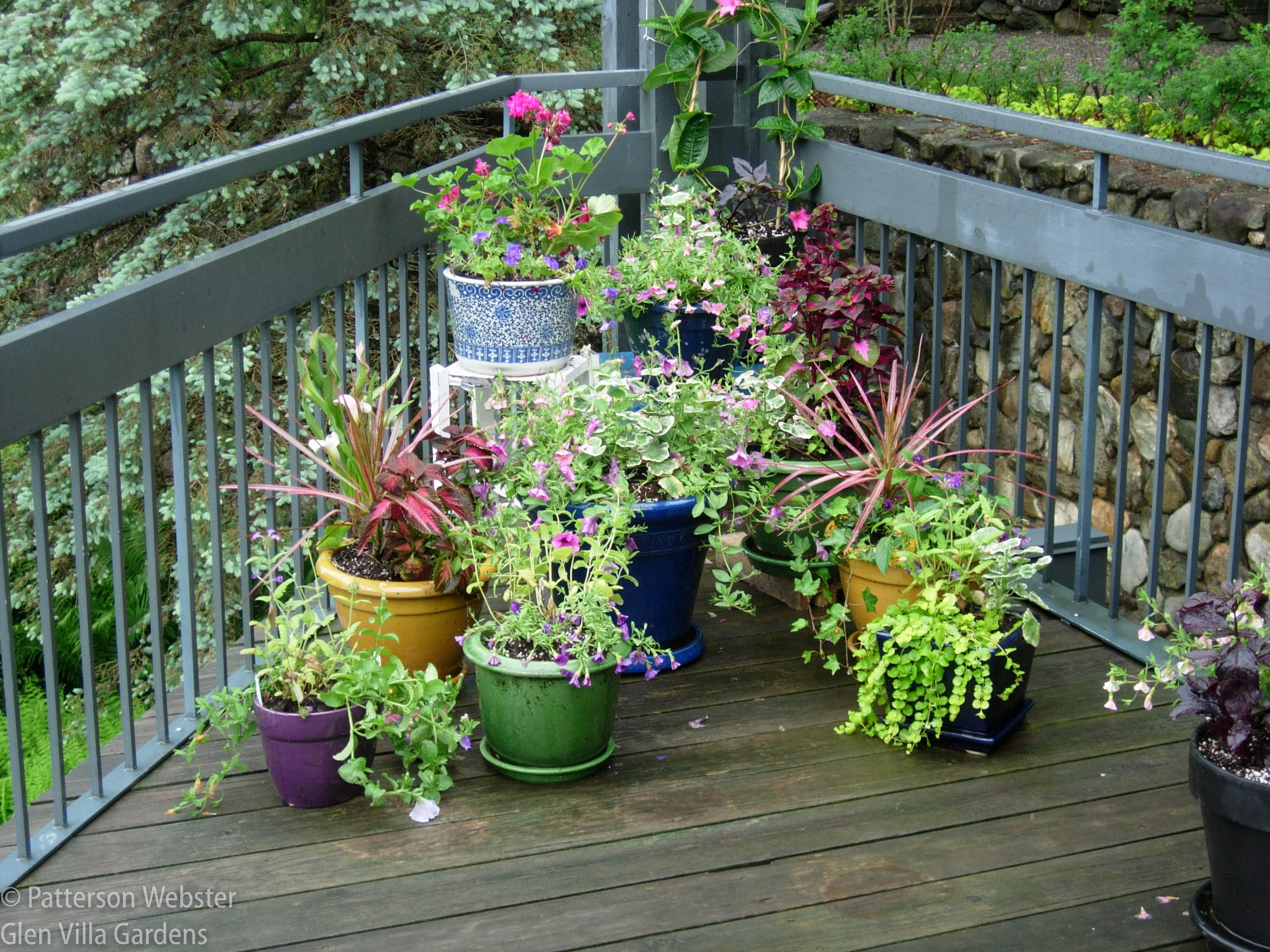 A few pots with plants that haven't yet grown tall enough to hide the point of the deck behind them. 