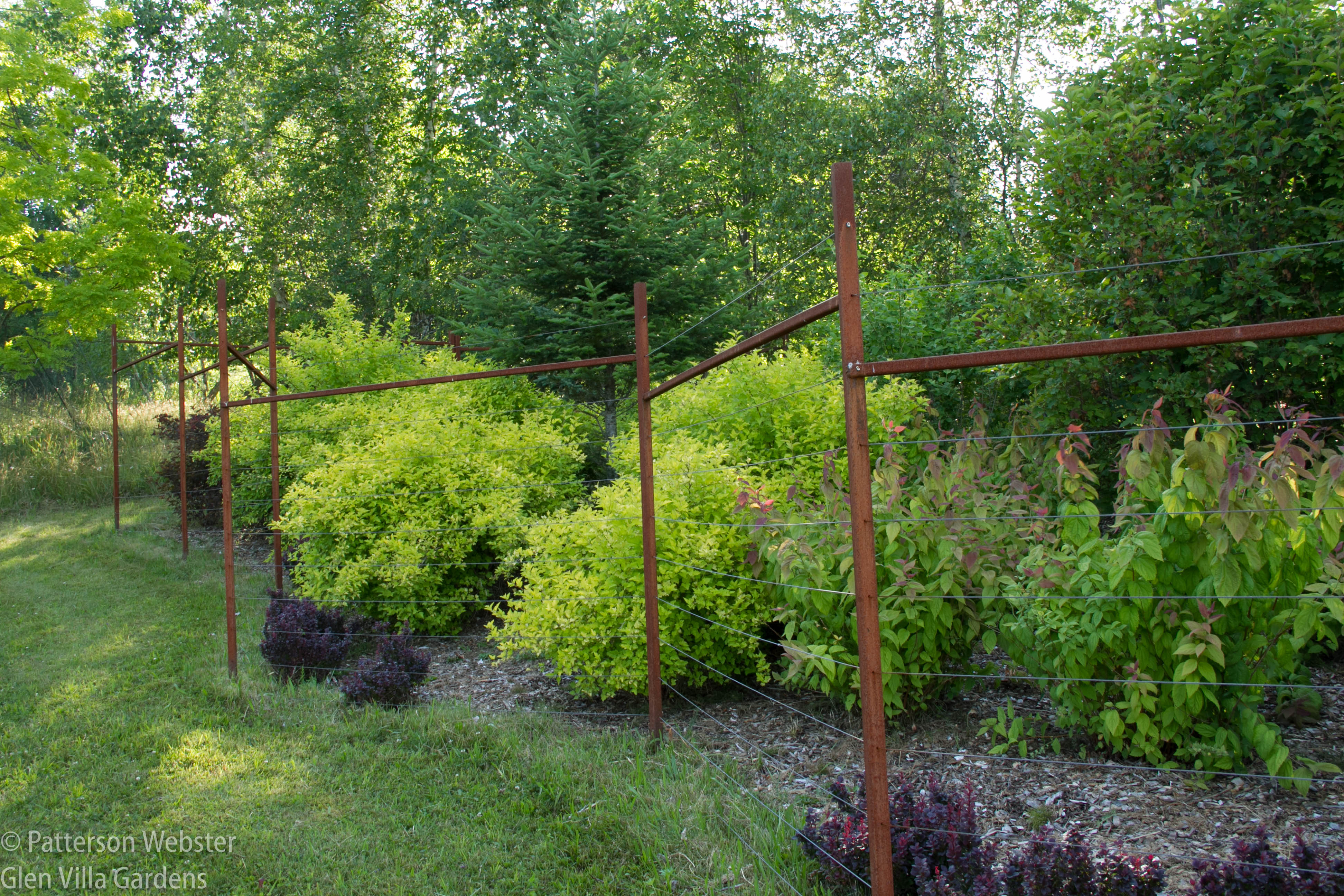 I designed this fence made of steel posts and wire cable to be attractive but as invisible as possible from a distance.