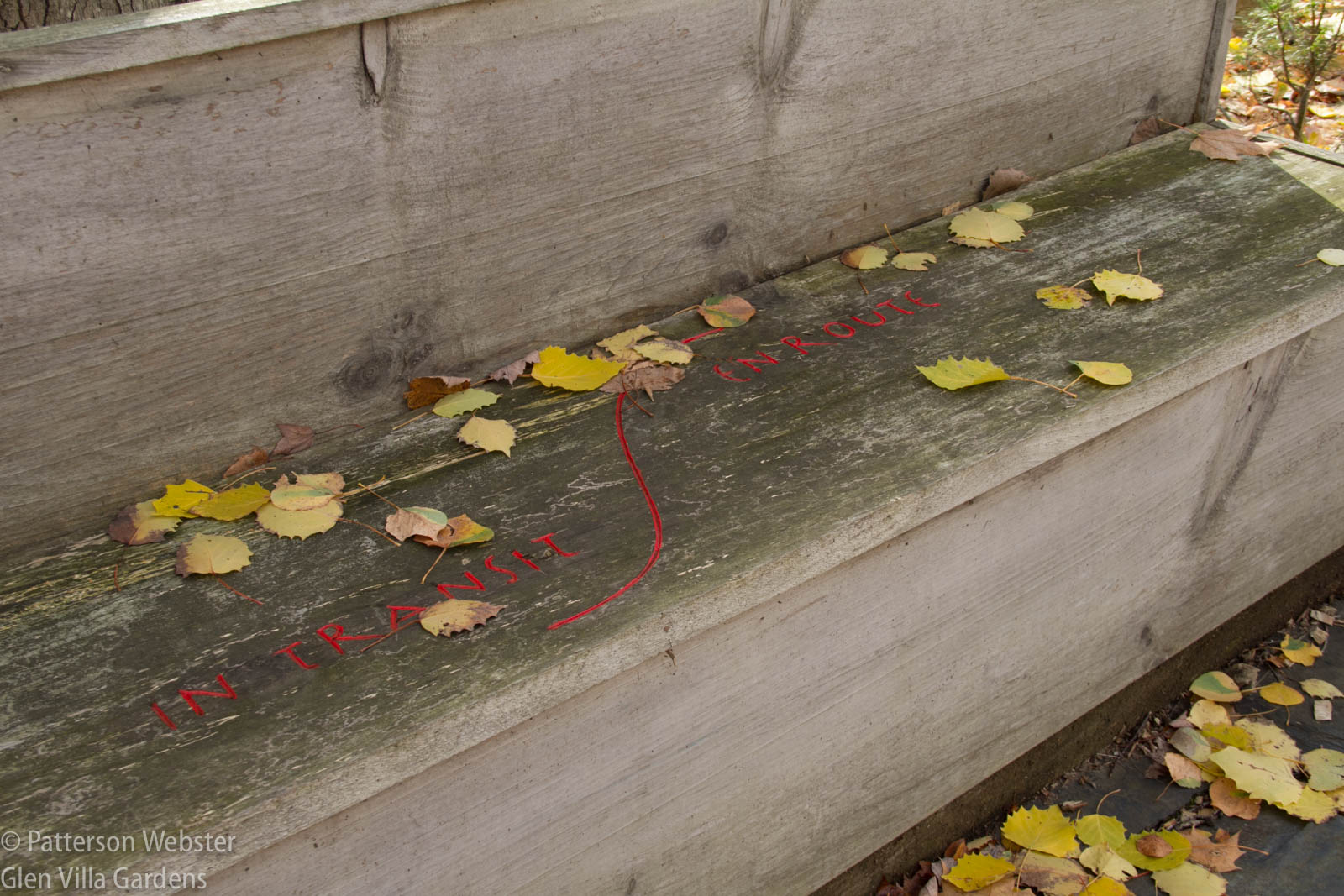 Autumn leaves make the message more poignant.